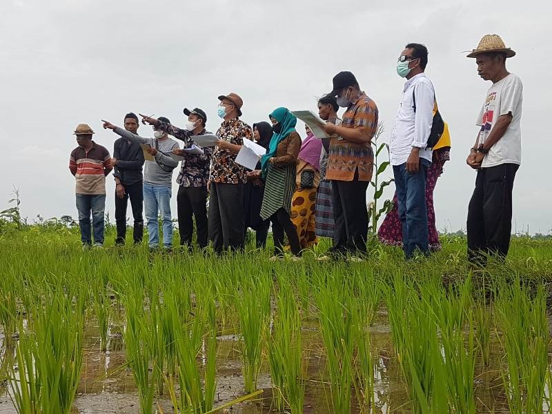 1 Di Sepapan Majelis Hakim PA Selong Periksa Objek Sengketa Waris