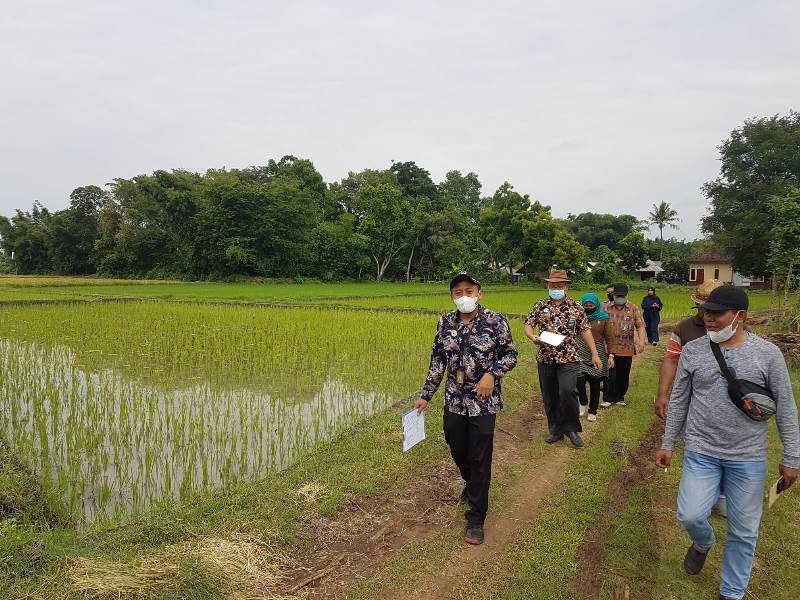2 Di Sepapan Majelis Hakim PA Selong Periksa Objek Sengketa Waris
